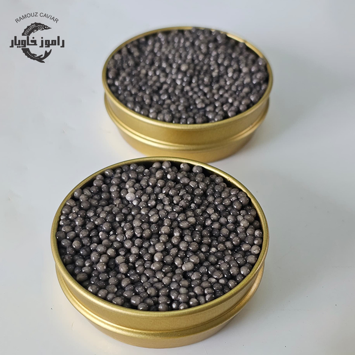 بلوگای طوسی روشن