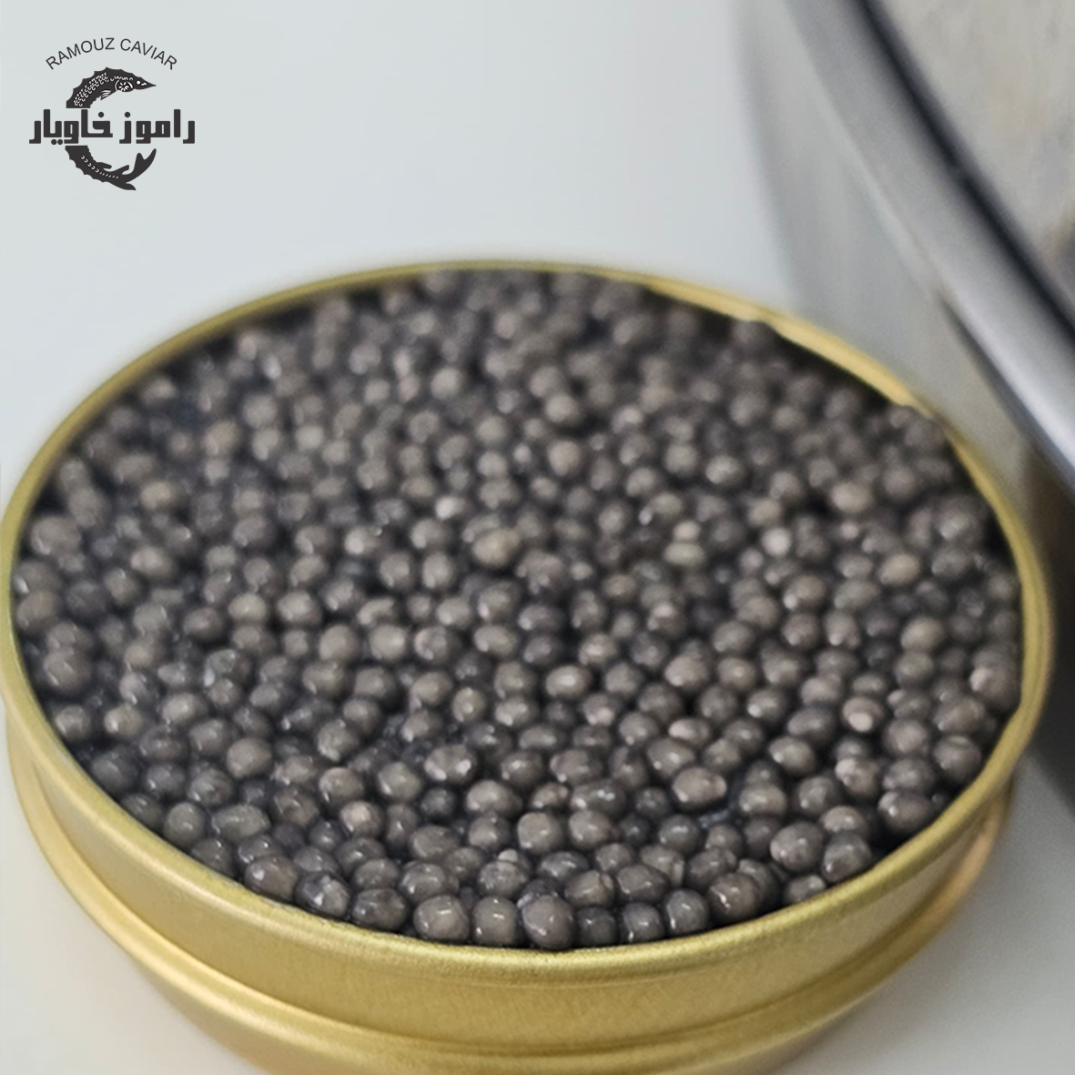خاویار بلوگا در ظرف دژاردن