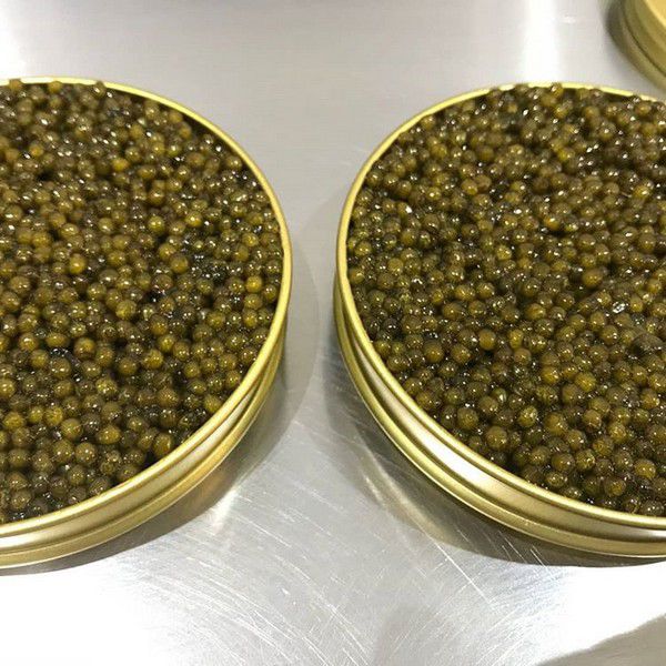 خاویار طلایی آسترا در ظروف دژاردن