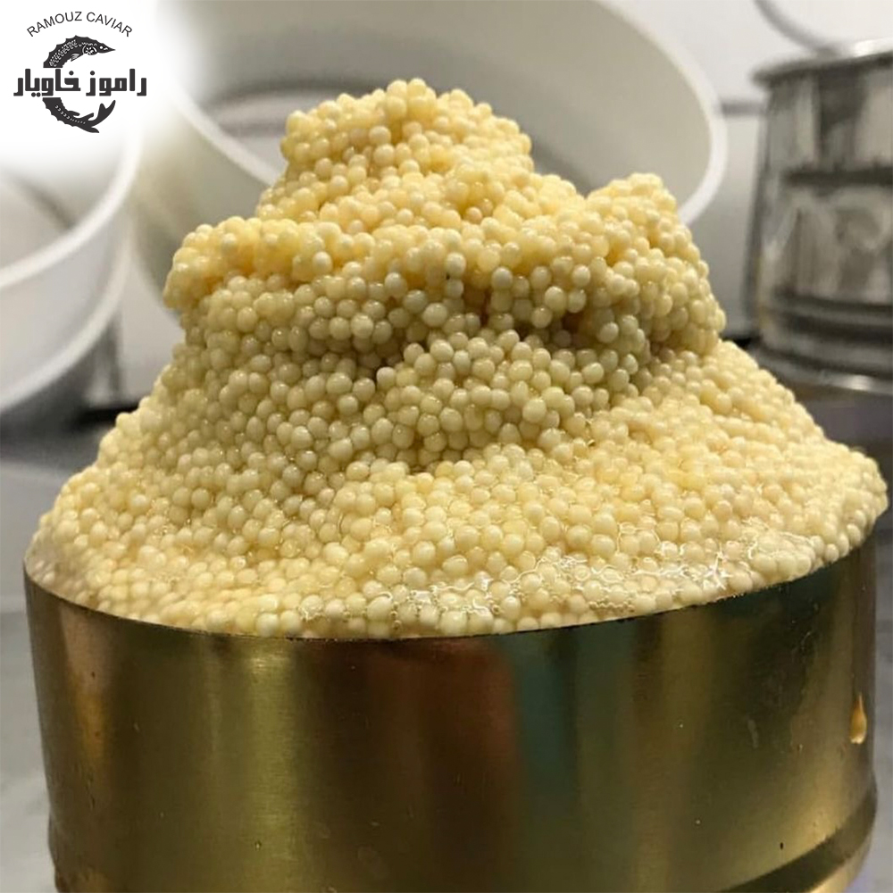 خاویار آلبینو