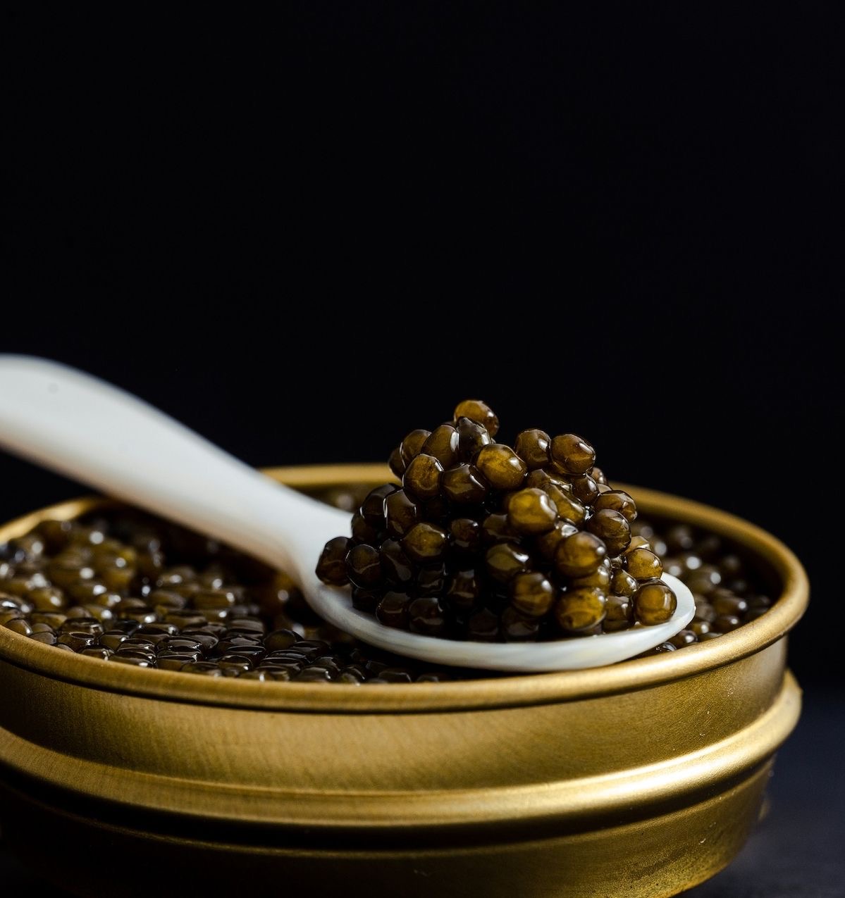 راهنمای خرید خاویار بلوگای ۵۰ گرمی؛ بررسی انواع بری، آسترا، سورگا و الماس (آلبینو)