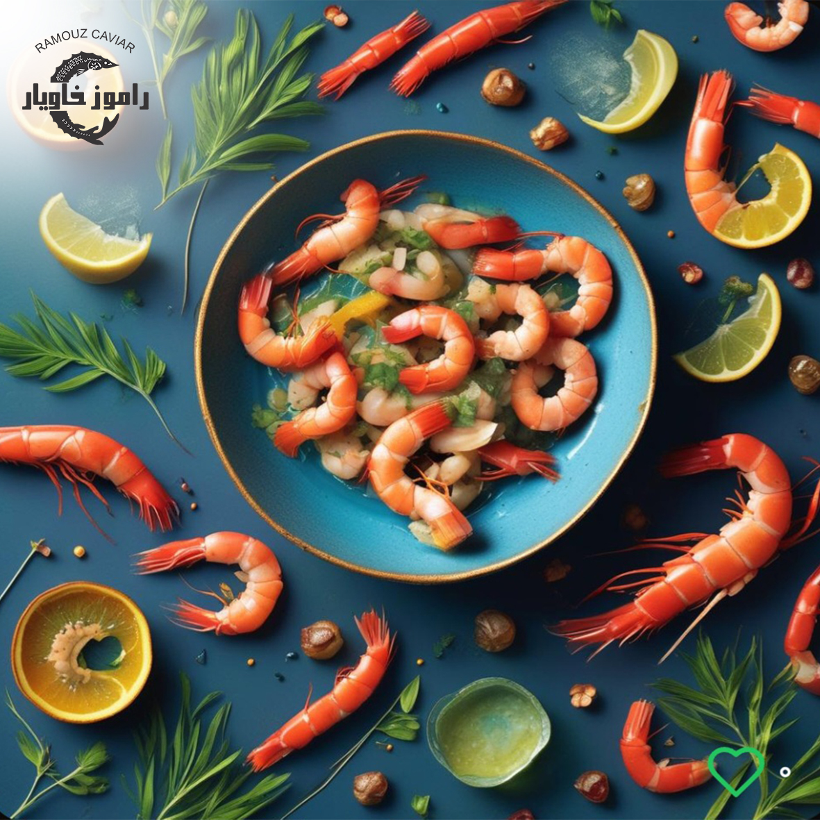 انواع میگوها و خواص آن