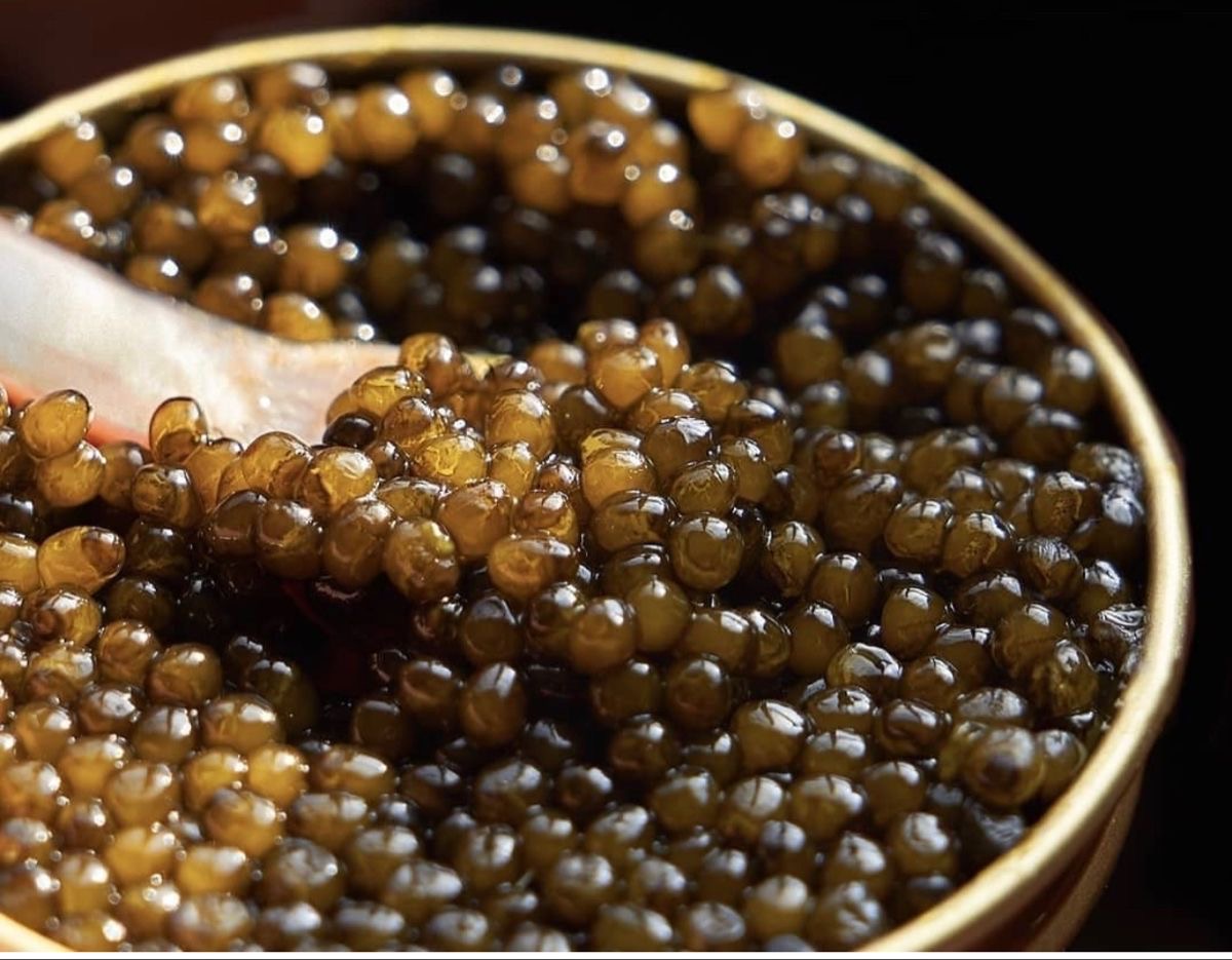 راهنمای کامل و حرفه‌ای خرید خاویار اصل؛ چگونه بهترین خاویار را انتخاب کنیم؟